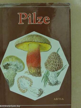 Pilze