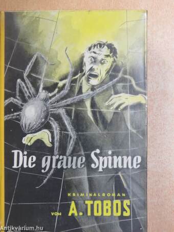 Die Graue Spinne