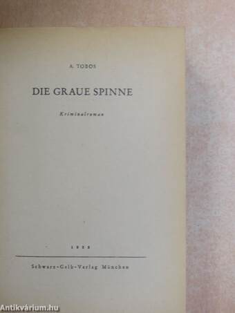 Die Graue Spinne