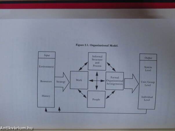 Organizational Architecture