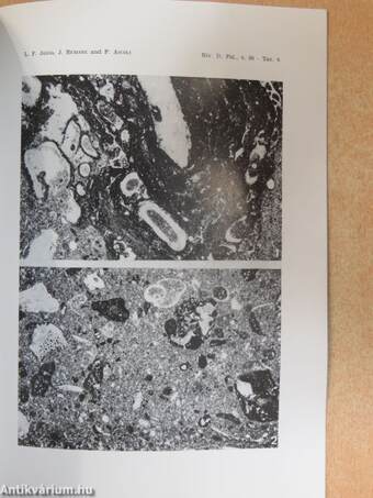 Calpionellid and Foraminiferal-Ostracod Biostratigraphy at the Jurassic-Cretaceous Boundary, offshore Eastern Canada