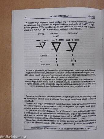 Sportorvosi Szemle 1994/1.