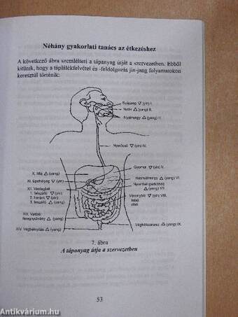 Makrobiotikával egészségesen