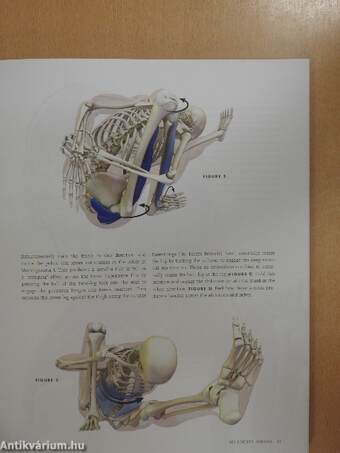 Anatomy for Backbends and Twists