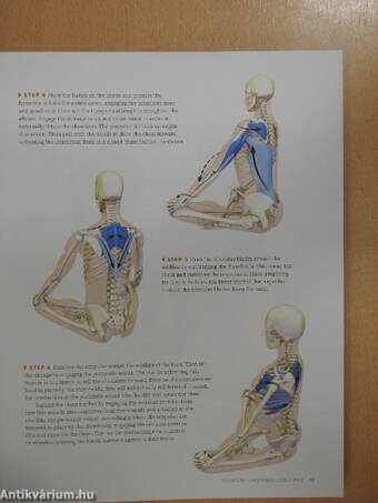 Anatomy for Hip Openers and Forward Bends