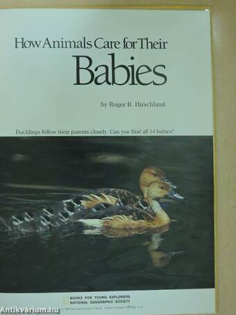 How Animals Care for Their Babies