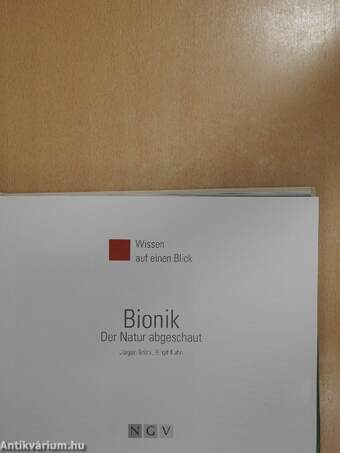 Bionik