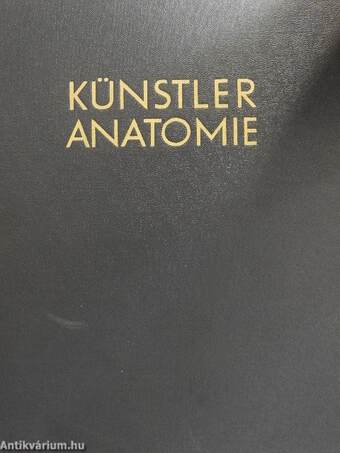 Künstleranatomie