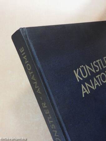 Künstleranatomie