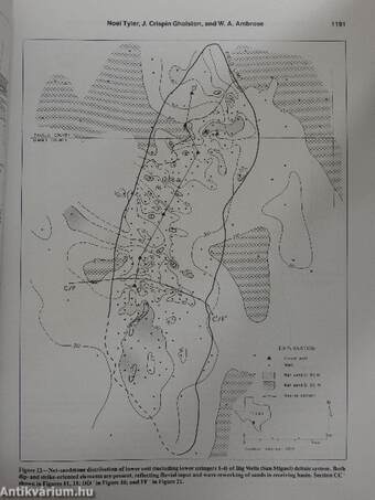 AAPG Bulletin October 1987