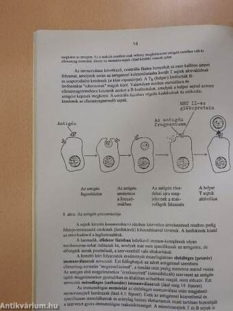 Immunológia