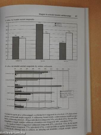 Tanulmányok az ifjúságról