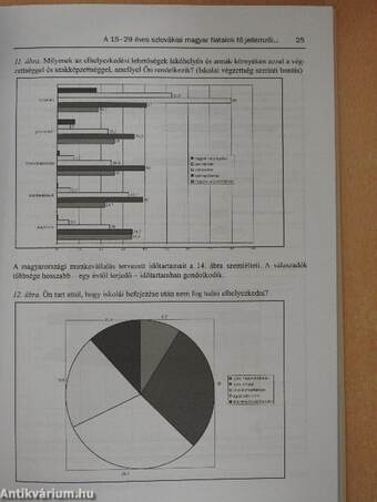 Tanulmányok az ifjúságról