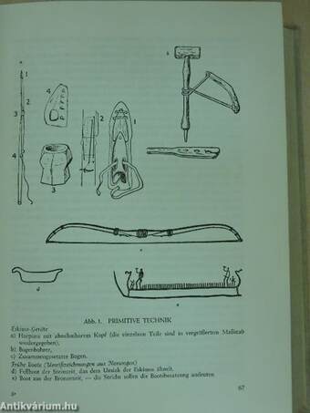 Die Wissenschaft in der Geschichte