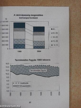 Budapest statisztikai zsebkönyve 2004