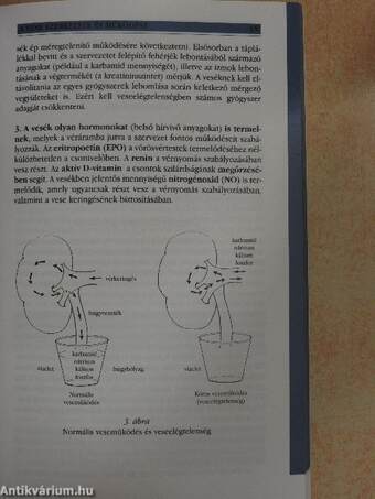 Kiválasztószervek