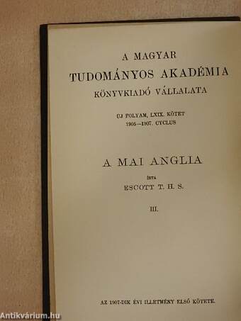 A mai Anglia III. (töredék)