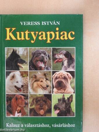 Kutyapiac