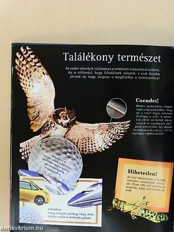 Hihetetlen találmányok