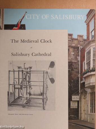 City of Salisbury