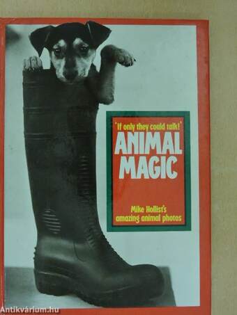 Animal Magic