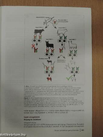 Magyar Állatorvosok Lapja 2013/5.