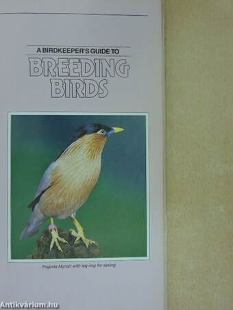 A Birdkeeper's Guide to Breeding Birds