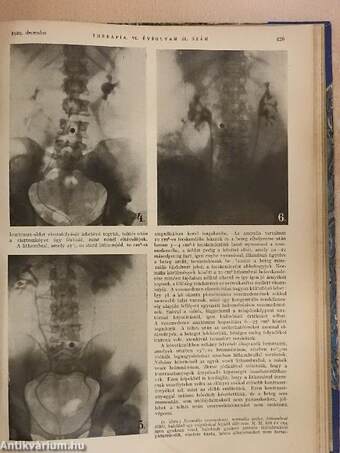 Therapia 1929. január-december