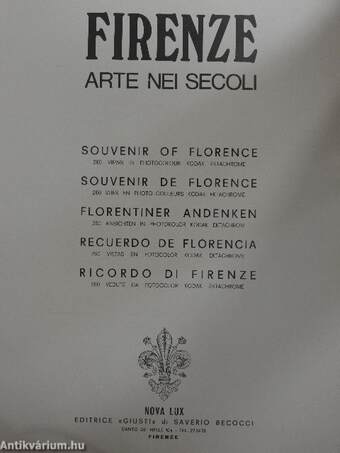 Firenze Arte Nei Secoli