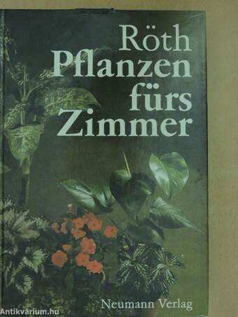 Pflanzen fürs Zimmer