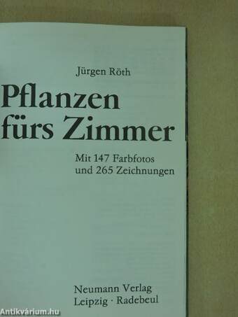 Pflanzen fürs Zimmer