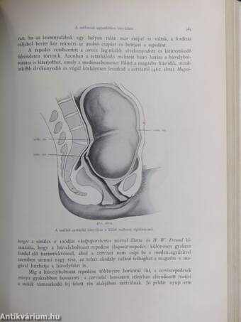 A szülészet alapvonalai (rossz állapotú)