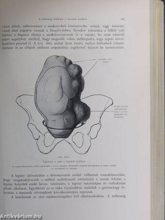 A szülészet alapvonalai (rossz állapotú)