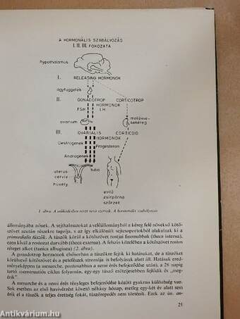 Nőgyógyászat