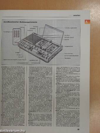 Das Grosse Illustrierte Wörterbuch I-II