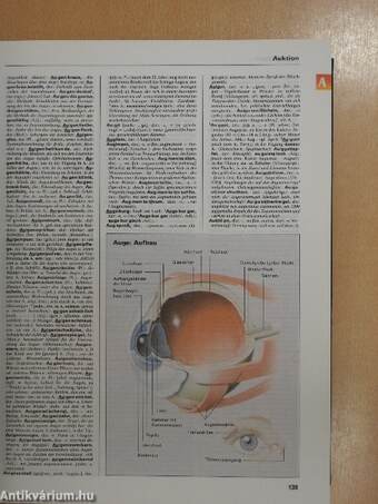 Das Grosse Illustrierte Wörterbuch I-II