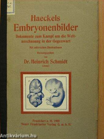 Haeckels Embryonenbilder