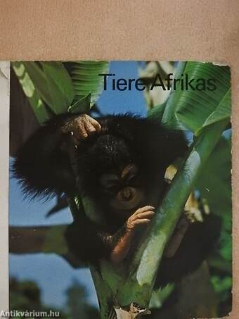 Tiere Afrikas