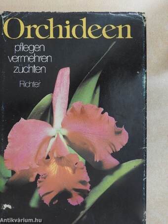 Orchideen