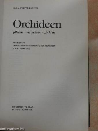 Orchideen