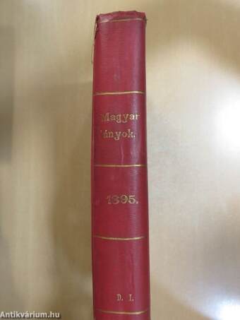 Magyar Lányok 1895. január-deczember (rossz állapotú)