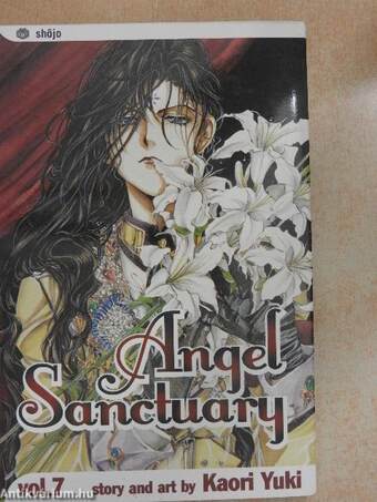 Angel Sanctuary 7