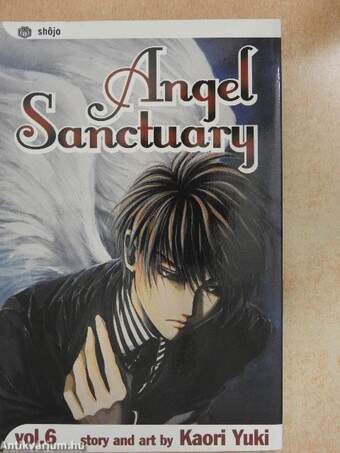 Angel Sanctuary 6