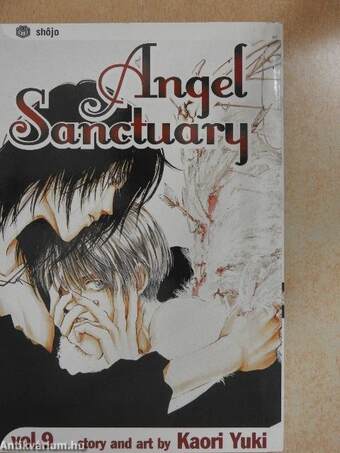 Angel Sanctuary 9