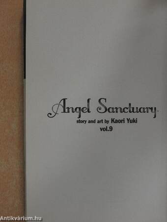 Angel Sanctuary 9