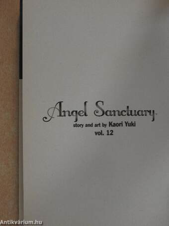 Angel Sanctuary 12