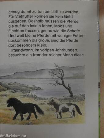 Ponygeschichten