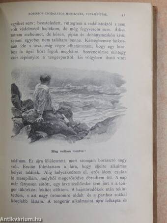 Robinson Crusoe élete és viszontagságai