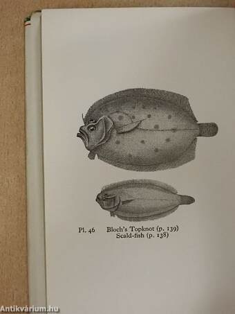 The Observer's Book of Sea Fishes