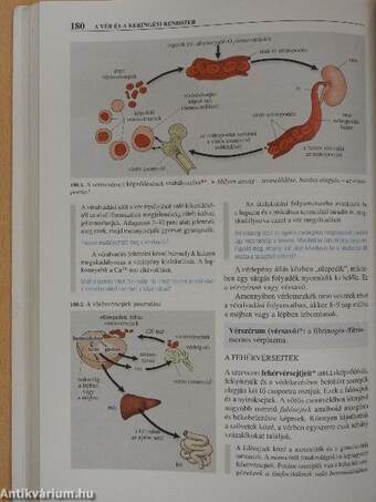 Biológia 11